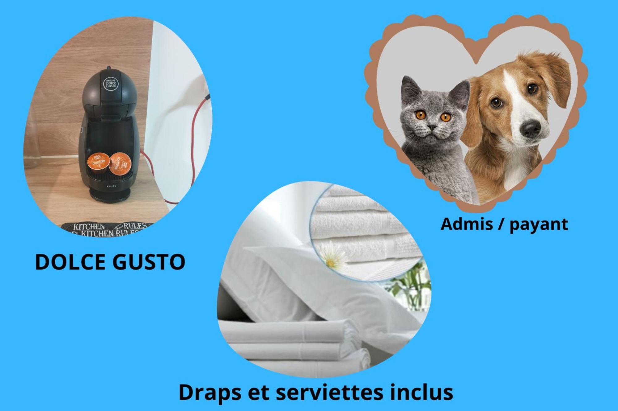 Bel Appartement T2 Climatise Avec Piscine Poitiers-Futuroscope-Creps De Poitiers Vouneuil-sous-Biard 외부 사진